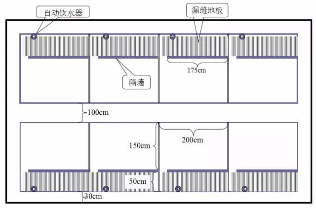 养猪房间规划_养猪房怎么盖好用_养猪房的设计图