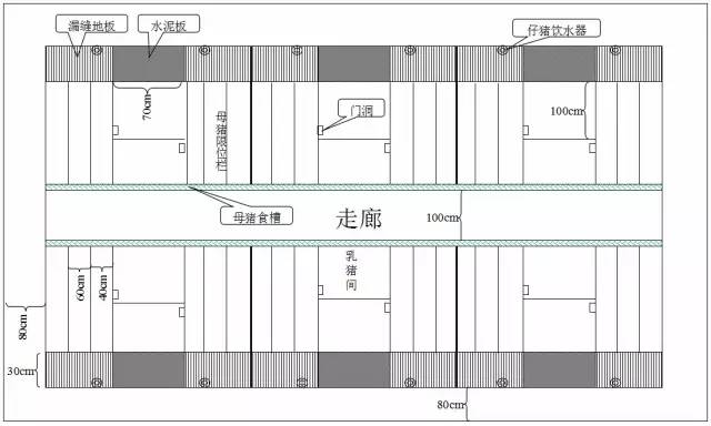 养猪房的设计图_养猪房怎么盖好用_养猪房间规划