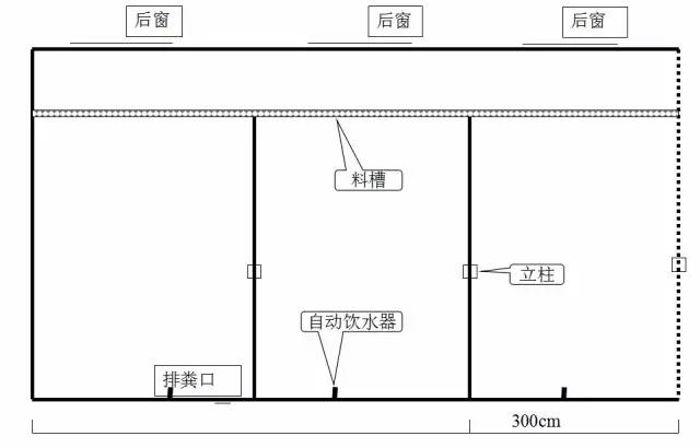 养猪房间规划_养猪房怎么盖好用_养猪房的设计图