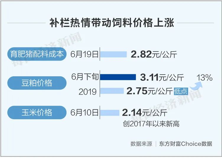 养猪成本利润_养猪利润成本多少_养猪的利润与成本