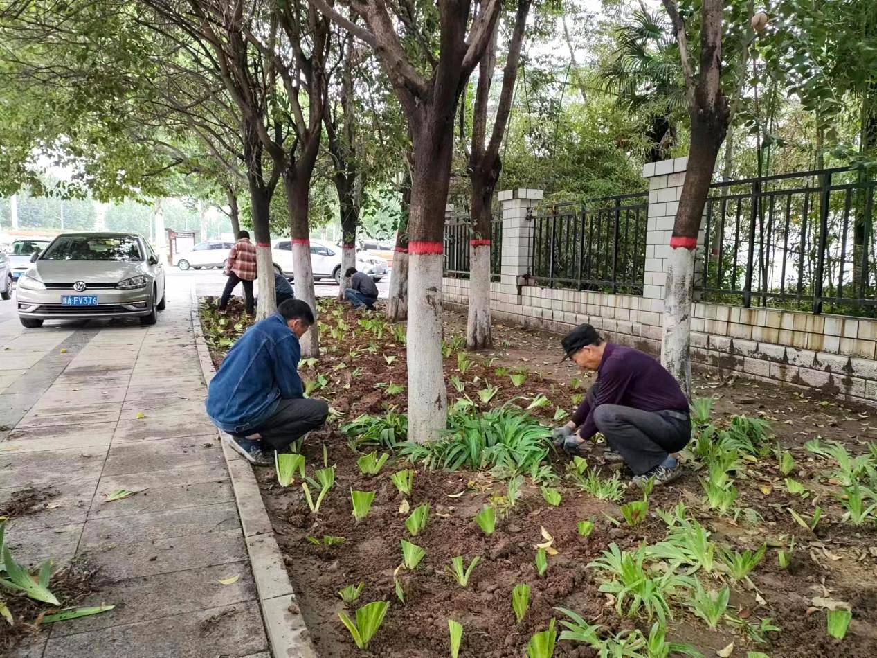 苗木采购管理办法_苗木采购实施方案_严把苗木采购关