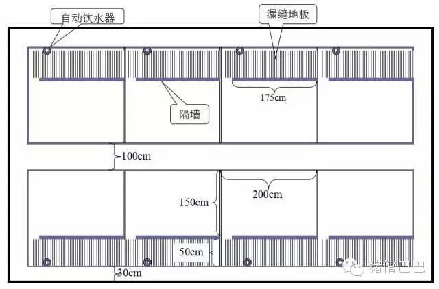 育肥猪舍图设计说明_育肥猪舍设计图_育肥猪舍设计图纸