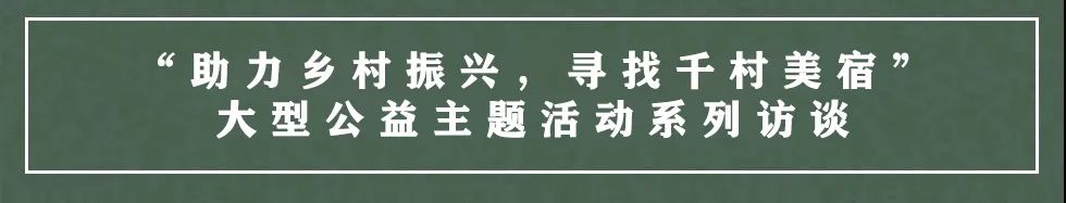 批发广西苗木金银花多少钱_广西金银花苗木批发_广西哪里有金银花苗出售