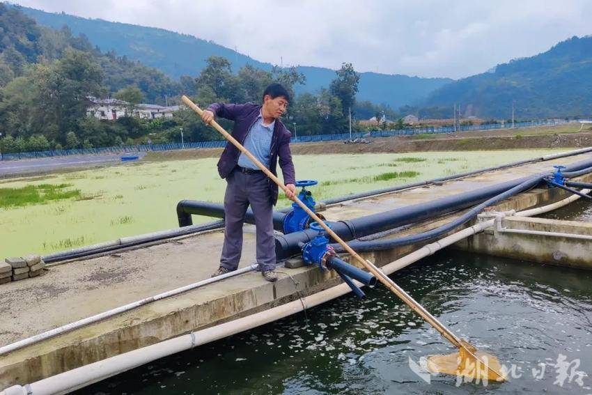 水面养殖补偿标准_20亩水面养鱼经济效益_水面效益养鱼经济怎么样