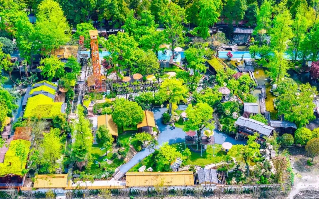 成都种花基地在哪里_成都花卉种植基地_成都市花卉种植基地