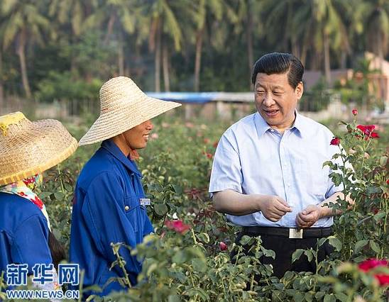 种植果树视频_农业节目果树_农林卫视网→种植果树