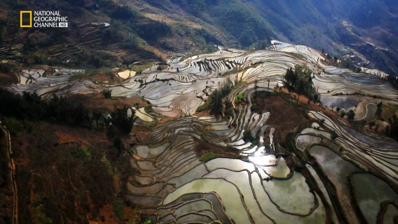 外国视角看中国_鸟瞰中国外国人会看吗_外国人看到