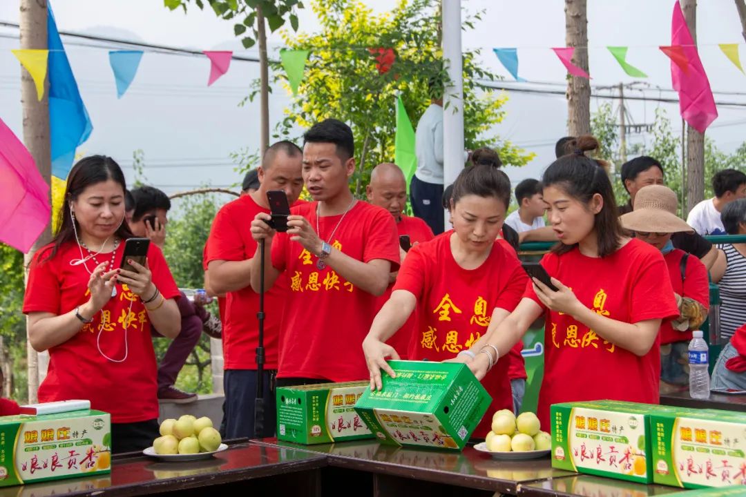 北京附近杏采摘多少钱一斤_北京香白杏采摘_北京郊区杏采摘