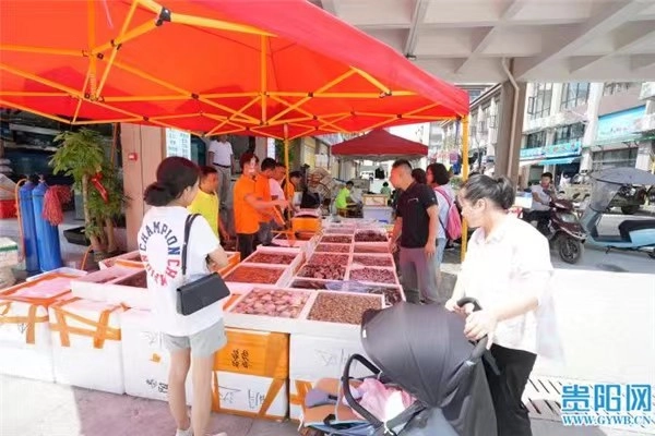 湛江市水产批发市场_湛江水产品批发市场在哪儿_湛江水产批发市场