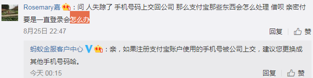 淘宝网我的支付宝在哪里_登录淘宝网可以看支付宝_登录淘宝能看到支付宝吗