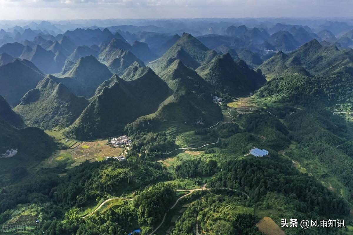 山脐橙是什么水果_三百山脐橙_山脐橙贵吗