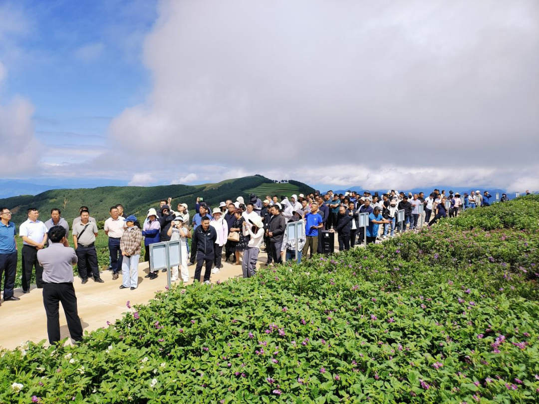 2021全国马铃薯种植情况_2021马铃薯种植亩数_2024年全国马铃薯种植面积