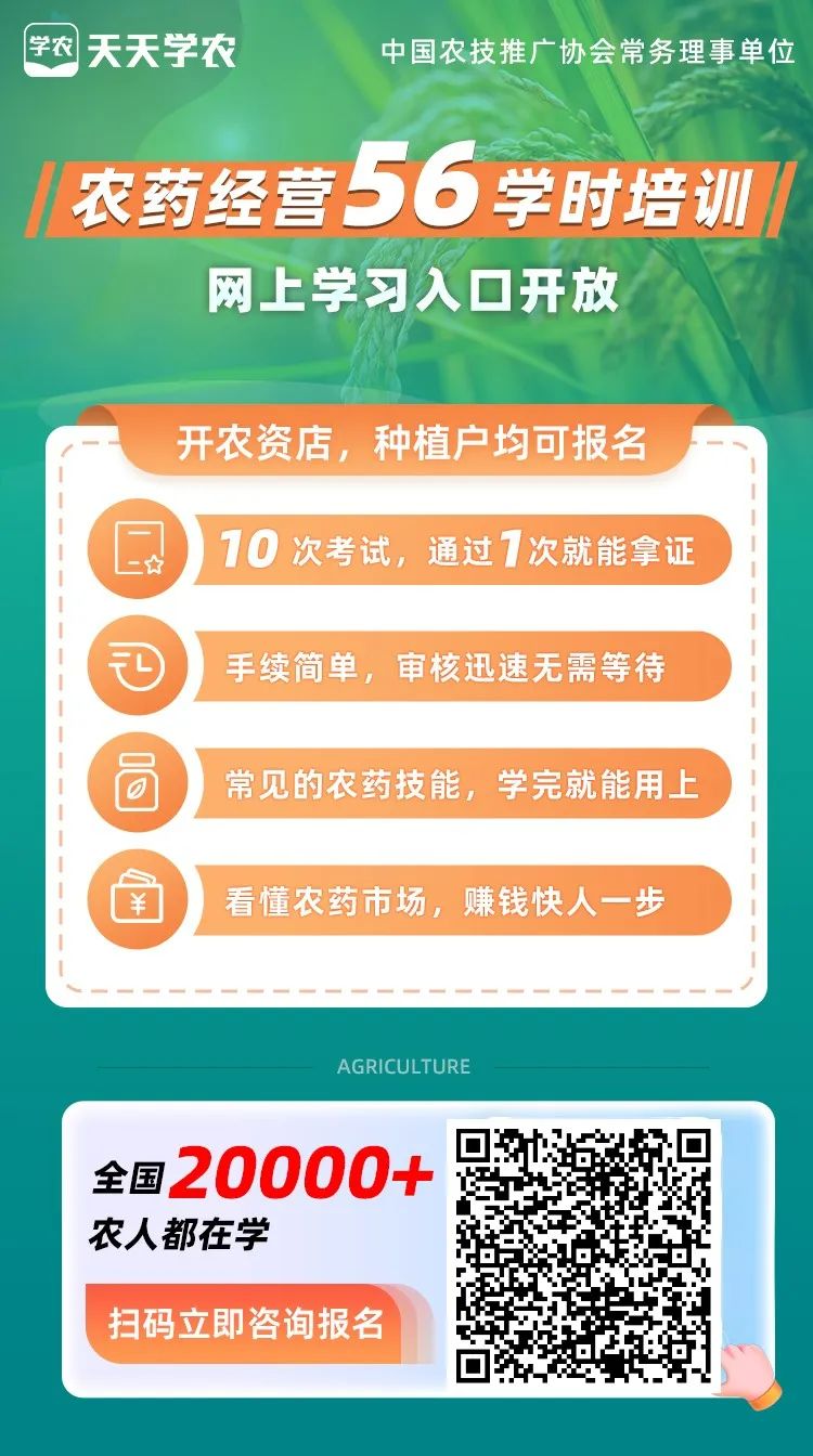 2021马铃薯种植亩数_2024年全国马铃薯种植面积_2021全国马铃薯种植情况