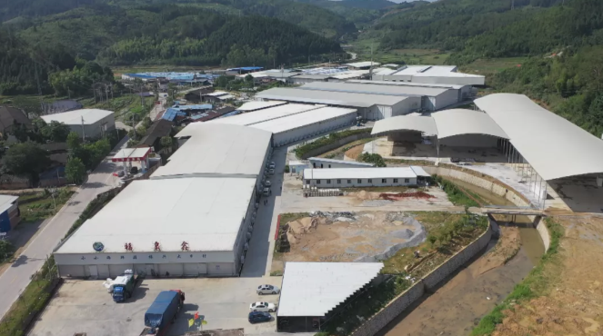 福建古田食用菌菌种_福建古田食用菌批发市场_福建古田食用菌