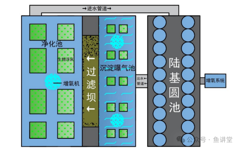 水芹好养吗_水养水芹_水芹养鱼