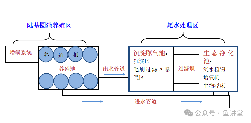 水养水芹_水芹养鱼_水芹好养吗