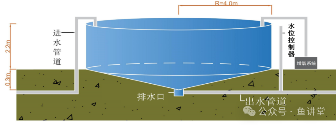 水芹养鱼_水芹好养吗_水养水芹