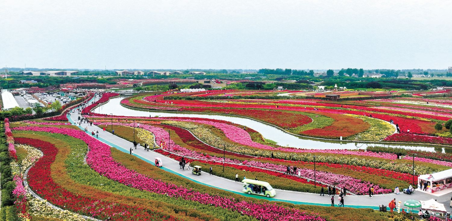 北京花卉博览会2019_2024北京花卉博览会_北京花卉博览会2021