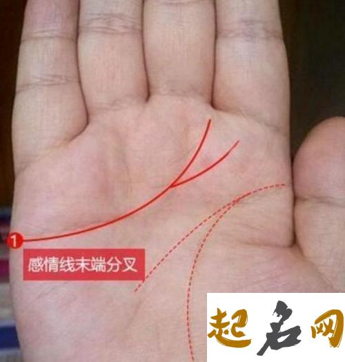 手掌中的感情线出现分叉是代表着什么意思？