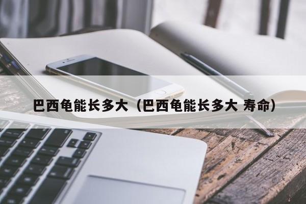 多大饲养龟巴西能长大_多大饲养龟巴西能长到20斤_饲养巴西龟能长多大