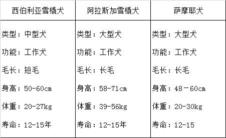 养哈士奇成本高吗_哈士奇饲养成本_饲养成本哈士奇要多少钱