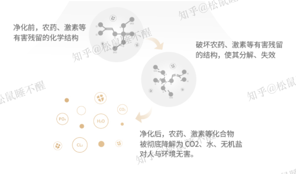 美的果蔬净化机价格_果蔬净化机器_果蔬净化机的价格