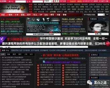 北京市公安局网安系统破获各类涉网案件850余起