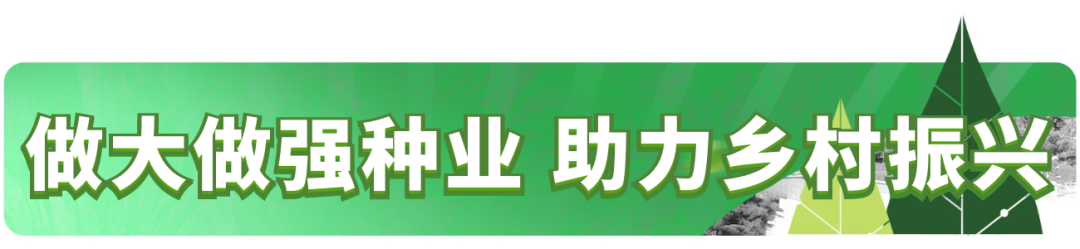 厦门蔬菜种苗基地在哪_厦门蔬菜种苗_厦门蔬菜种苗批发市场