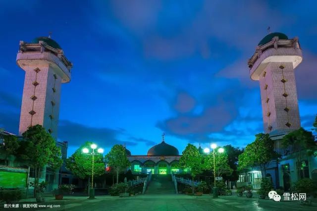 银川天地缘花卉_银川天地缘鲜花店电话_宁夏天地缘